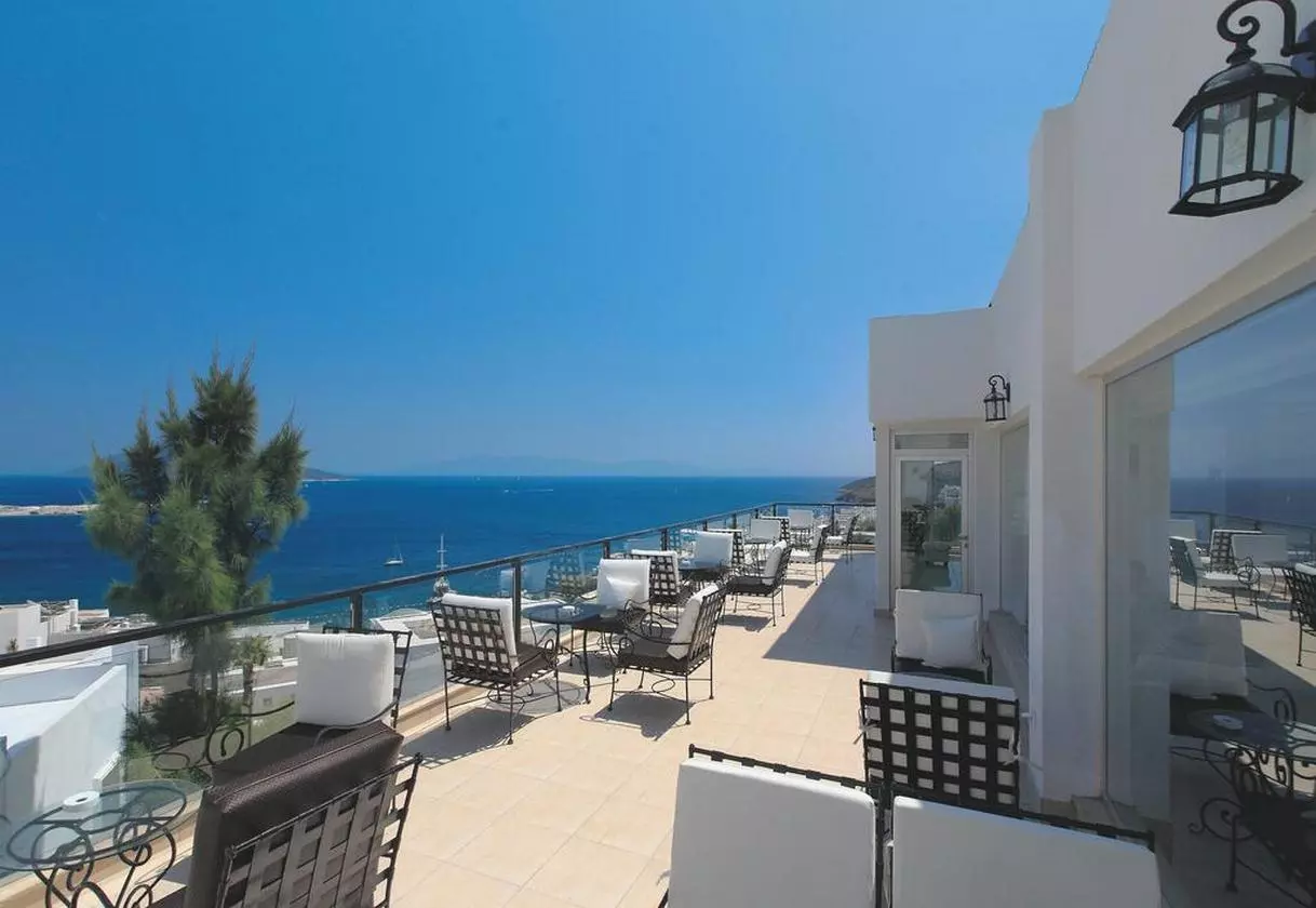 ROSSOVERDE_SHABAVIZ (7).jpg